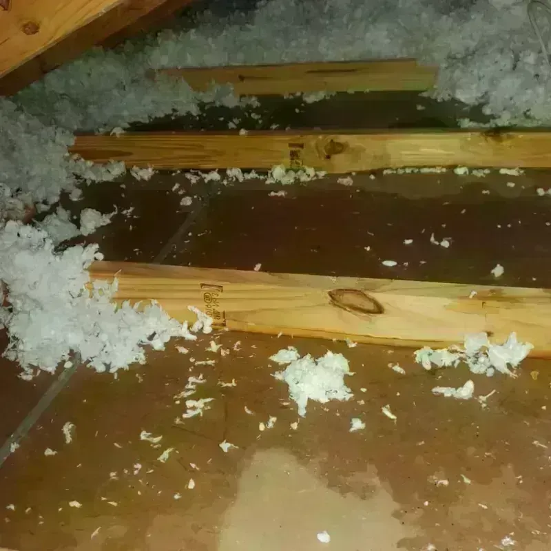 Attic Water Damage in McKinleyville, CA